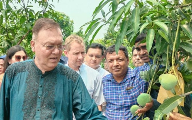 আম নিয়ে সিন্ডিকেট হতে দেব না: কৃষিমন্ত্রী